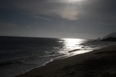 DSC_4134 (Large).JPG